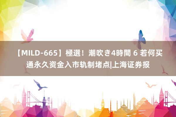 【MILD-665】極選！潮吹き4時間 6 若何买通永久资金入市轨制堵点|上海证券报