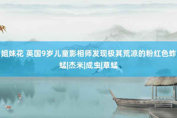 姐妹花 英国9岁儿童影相师发现极其荒凉的粉红色蚱蜢|杰米|成虫|草蜢