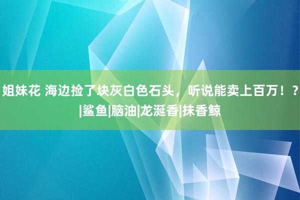 姐妹花 海边捡了块灰白色石头，听说能卖上百万！？|鲨鱼|脑油|龙涎香|抹香鲸