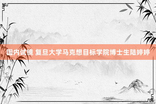 国内试镜 复旦大学马克想目标学院博士生陆婷婷