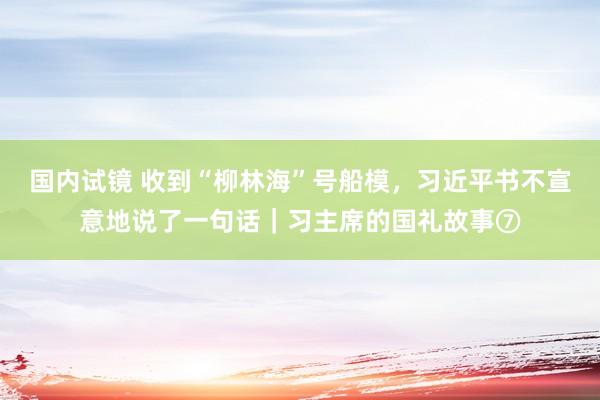 国内试镜 收到“柳林海”号船模，习近平书不宣意地说了一句话｜习主席的国礼故事⑦