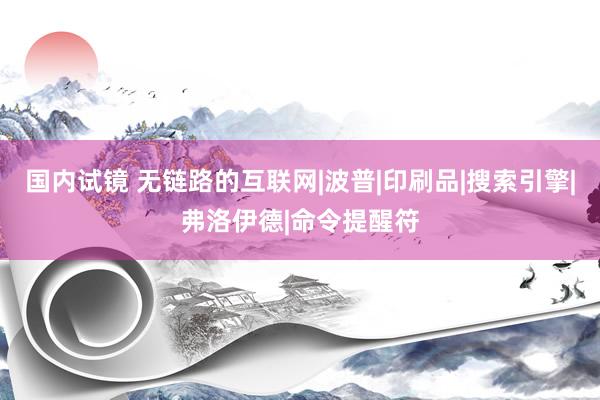 国内试镜 无链路的互联网|波普|印刷品|搜索引擎|弗洛伊德|命令提醒符