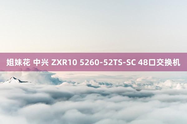 姐妹花 中兴 ZXR10 5260-52TS-SC 48口交换机