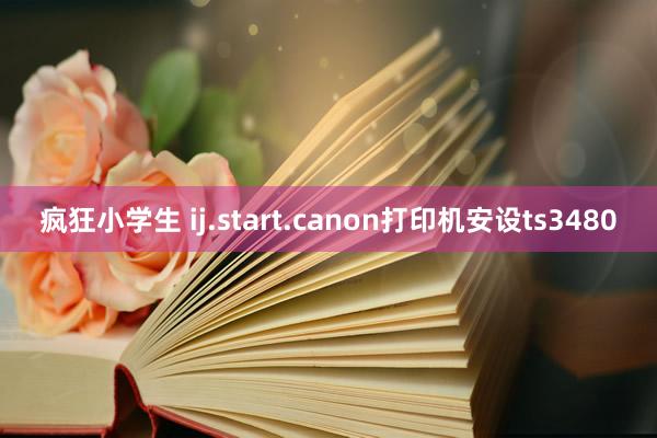 疯狂小学生 ij.start.canon打印机安设ts3480