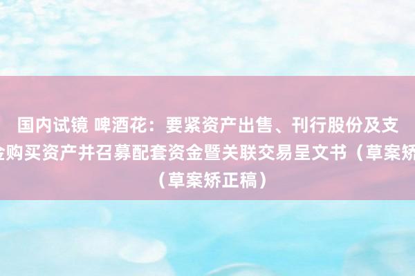国内试镜 啤酒花：要紧资产出售、刊行股份及支付现金购买资产并召募配套资金暨关联交易呈文书（草案矫正稿）