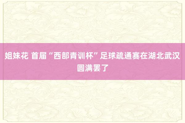 姐妹花 首届“西部青训杯”足球疏通赛在湖北武汉圆满罢了