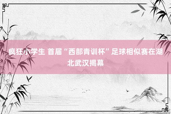 疯狂小学生 首届“西部青训杯”足球相似赛在湖北武汉揭幕
