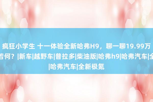 疯狂小学生 十一体验全新哈弗H9，聊一聊19.99万起的它若何？|新车|越野车|普拉多|柴油版|哈弗h9|哈弗汽车|全新极氪