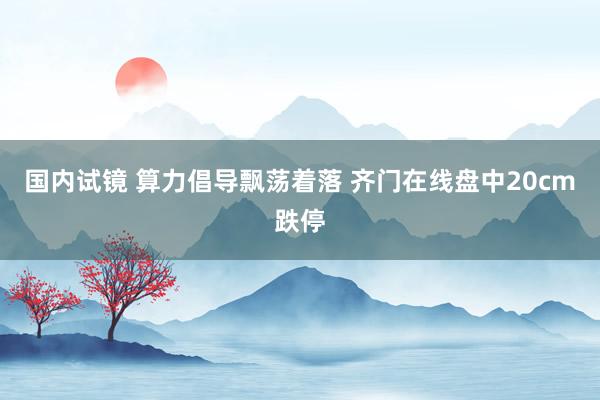 国内试镜 算力倡导飘荡着落 齐门在线盘中20cm跌停