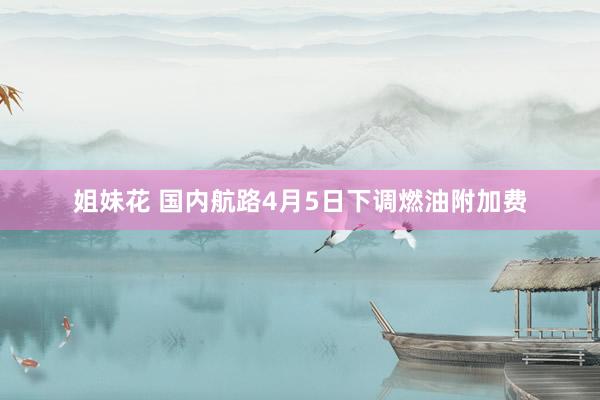 姐妹花 国内航路4月5日下调燃油附加费