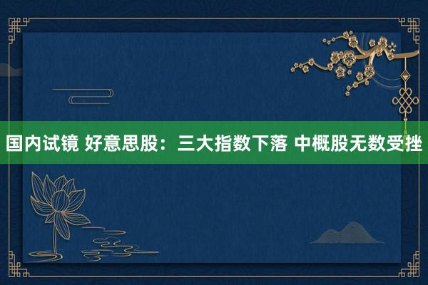 国内试镜 好意思股：三大指数下落 中概股无数受挫