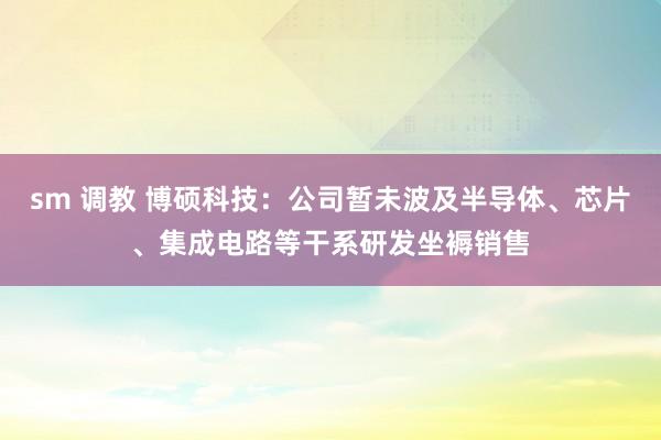 sm 调教 博硕科技：公司暂未波及半导体、芯片、集成电路等干系研发坐褥销售