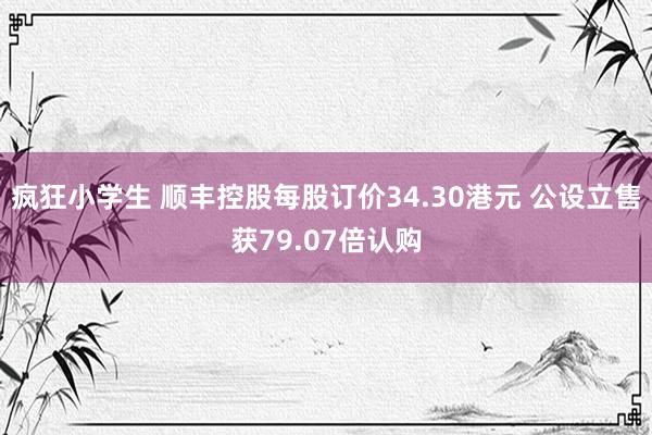 疯狂小学生 顺丰控股每股订价34.30港元 公设立售获79.07倍认购