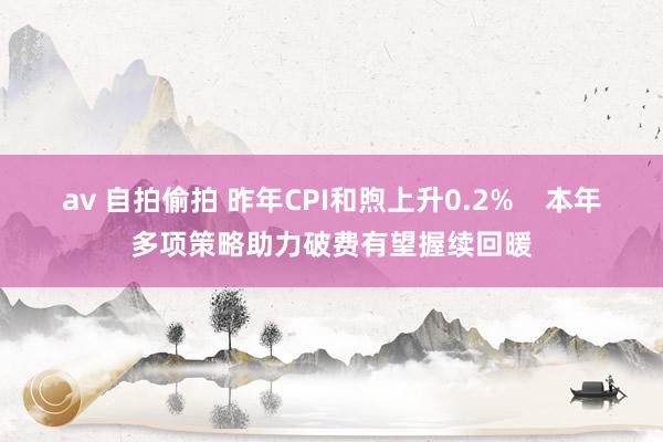 av 自拍偷拍 昨年CPI和煦上升0.2%    本年多项策略助力破费有望握续回暖