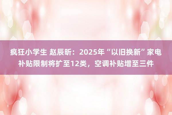 疯狂小学生 赵辰昕：2025年“以旧换新”家电补贴限制将扩至12类，空调补贴增至三件