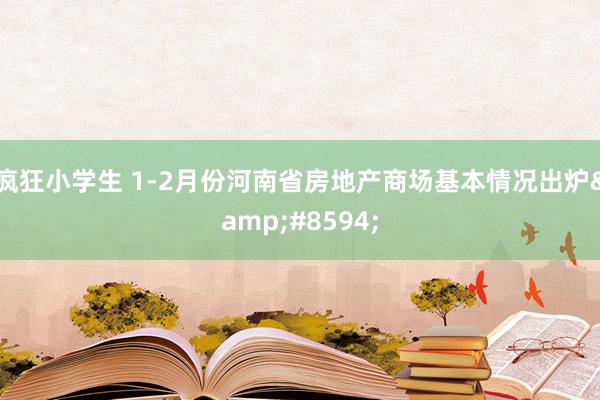 疯狂小学生 1-2月份河南省房地产商场基本情况出炉&#8594;